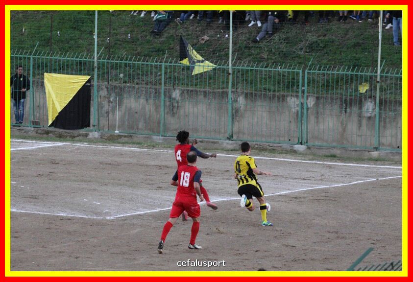181111 Cepha_Milazzo 309_tn.JPG